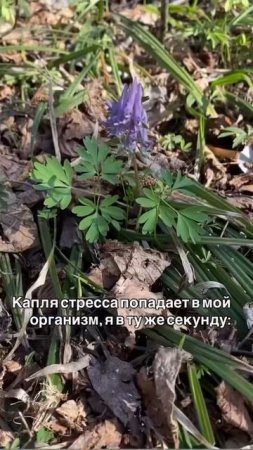 10 июля 2025 г.