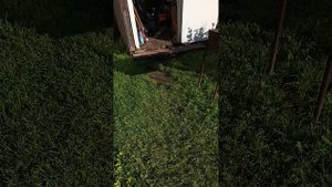 Пежо партнёр ремонт рейки без снятия