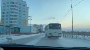 Разворот на однополосных перекрёстках и разворот в ограниченном пространстве [get-save.com]