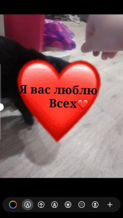 Я вас люблю всех❤❤❤
