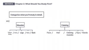 02.What should you study first