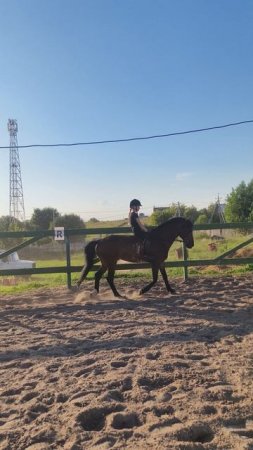 Даша и Аквилон, рысь на плацу без седла.