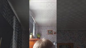 стрим.