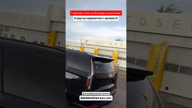 Горячие лоты из Канады в наличии. Крутые варианты с ценами. Авто из Грузии! #автоизгрузии #автоизсша