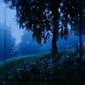 влог вечерний