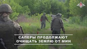 🧨 Военнослужащие инженерно-саперного подразделения 1-й гвардейской танковой армии группировки во...