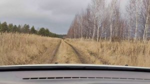 Дорога в лесу