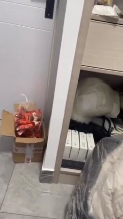 Не рассчитал