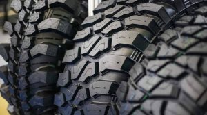 Средние цены на зимние шины в РФ выросли на 13%
