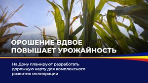 Орошение вдвое повышает урожайность