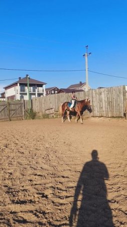 Василиса и Каспер, рысь на плацу.