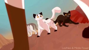 Сол°•Everything Moves•°||Коты-Воители||MAP(Перезалив)