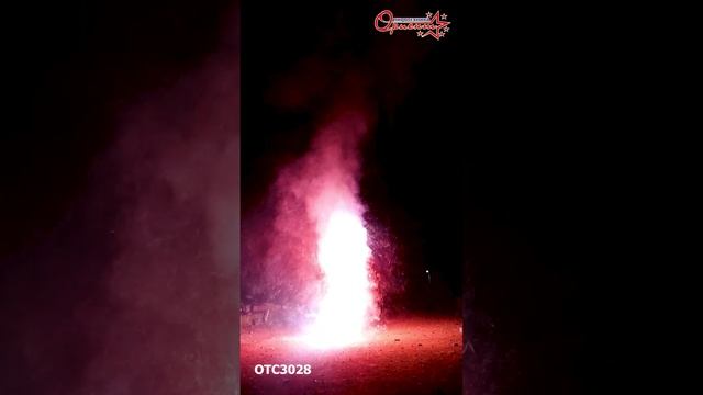 OTC3028 2025г