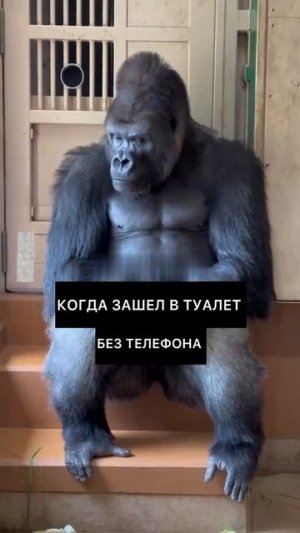 Фатальная ошибка