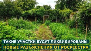 Какие земельные участки будут ликвидированы: новые разъяснения от Росреестра