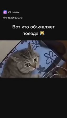 🤣Вот кто объявляет поезда