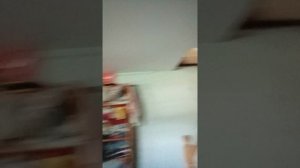 1000005617.mp4