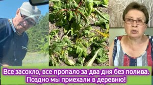 Все засохло и пропало за два дня без полива. Вернулись в деревню