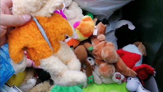 Как я зарабатываю лазая по мусоркам Питера? Dumpster Diving