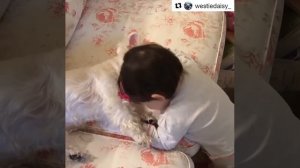 VID_20250711_132208_988.mp4