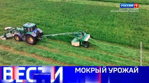 Вести Санкт-Петербург. Выпуск 11.30 от 11.07.2025