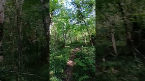 Под впечатлениями от находки дольмена в Архипо-Осиповке иду назад по тропе здоровья на Чёрном море