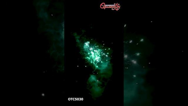OTC5030 2025г