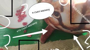 шлёпа съел мой горох часть 3