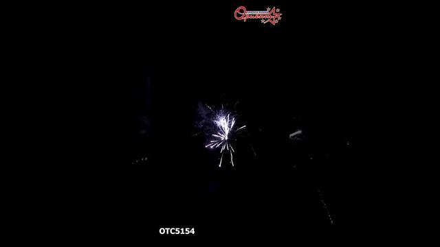OTC5154 2025г
