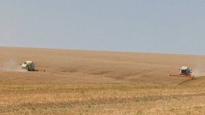 Уборочная кампания в Самарской области. Большечерниговский район