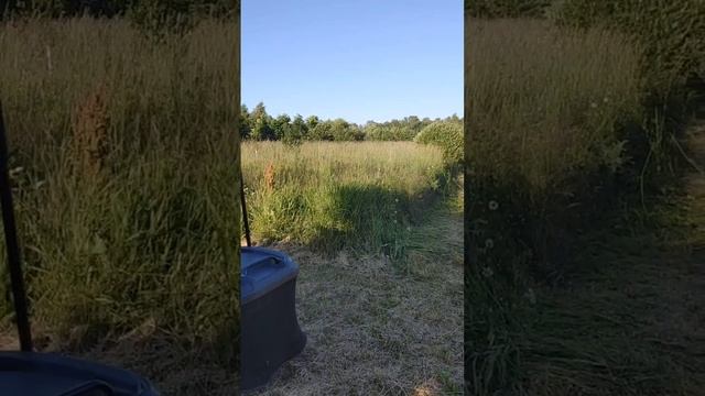 Уничтожение бурьяна на минитракторе Эволайн 84см
УЗНАЙ СВОЮ СКИДКУ!
