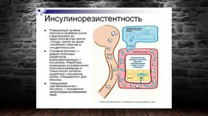 САМЫЙ МОЩНЫЙ АНАБОЛИК | Инсулин в бодибилдинге