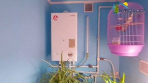 3-х к/к Краснодарский край Новопокровский р-н ст.Калниболотская