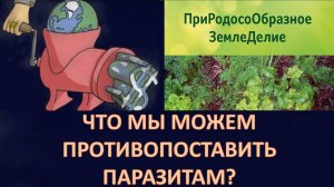 ЭКОНОМИКА БУДУЩЕГО! ЧТО СПАСЁТ ЧЕЛОВЕЧЕСТВО!