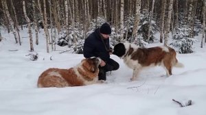 Василисе 11, Томасу 9 лет