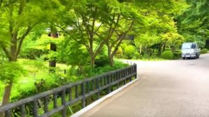 Япония ботанический сад Нагойя, прогулка, обзор, экскурсия, достопримечательности в Японии