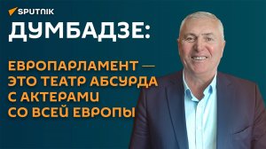 Думбадзе: Европарламент ― это театр абсурда с актерами со всей Европы