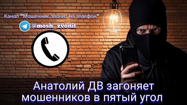 Анатолий ДВ загоняет мошенников в пятый угол
