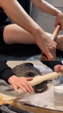 Тебе массаж или котику?