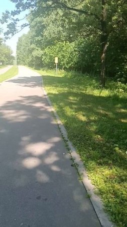 В сквере.
