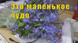 ЭТО НАСТОЯЩЕЕ ЧУДО/ УЧИМСЯ НА СВОИХ ОШИБКАХ /06 июля 2025