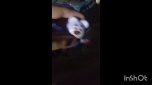 медвежата танцует и не только