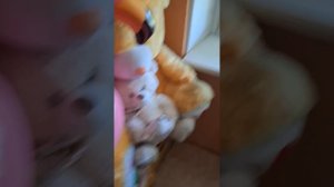 Вещи из СССР, 90ых и нулевых🥰ЧАСТЬ 3