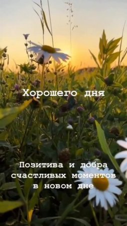 #хорошегодня
