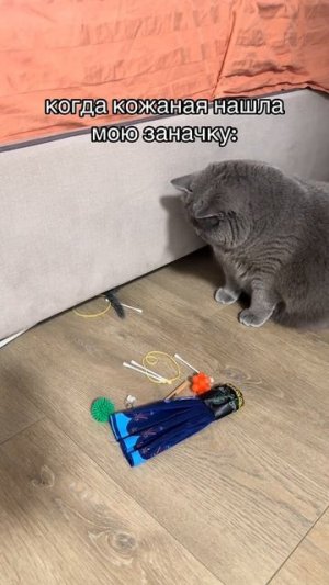 1000054057.mp4