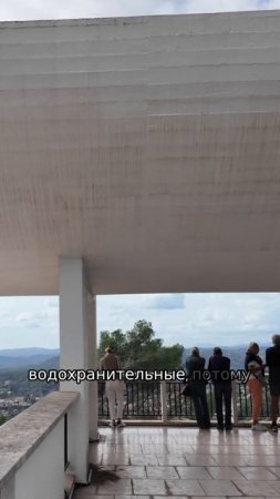 Желоба на здании музея. Прогулка с декоратором Максимом Лангуевым