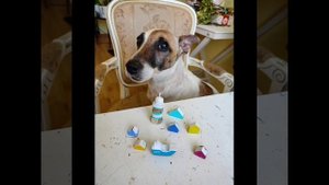 №67 Незабываемая, бешено красивая музыка Сергея Аверьянова и Дрифтвуд море Белое от Марины Панцхава