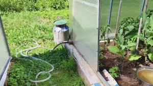 Топлю печь готовлю обед,съездили в посёлок,мои цветочки .