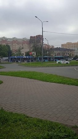 Питерская погода