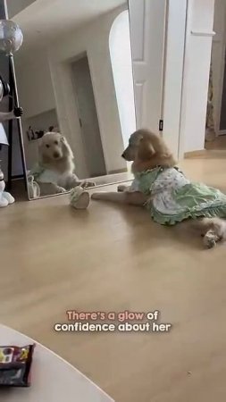 🤣Девушка у зеркала❤️